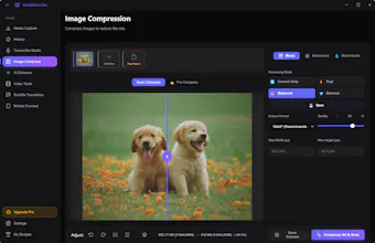 MediaFlow Pro gallery image