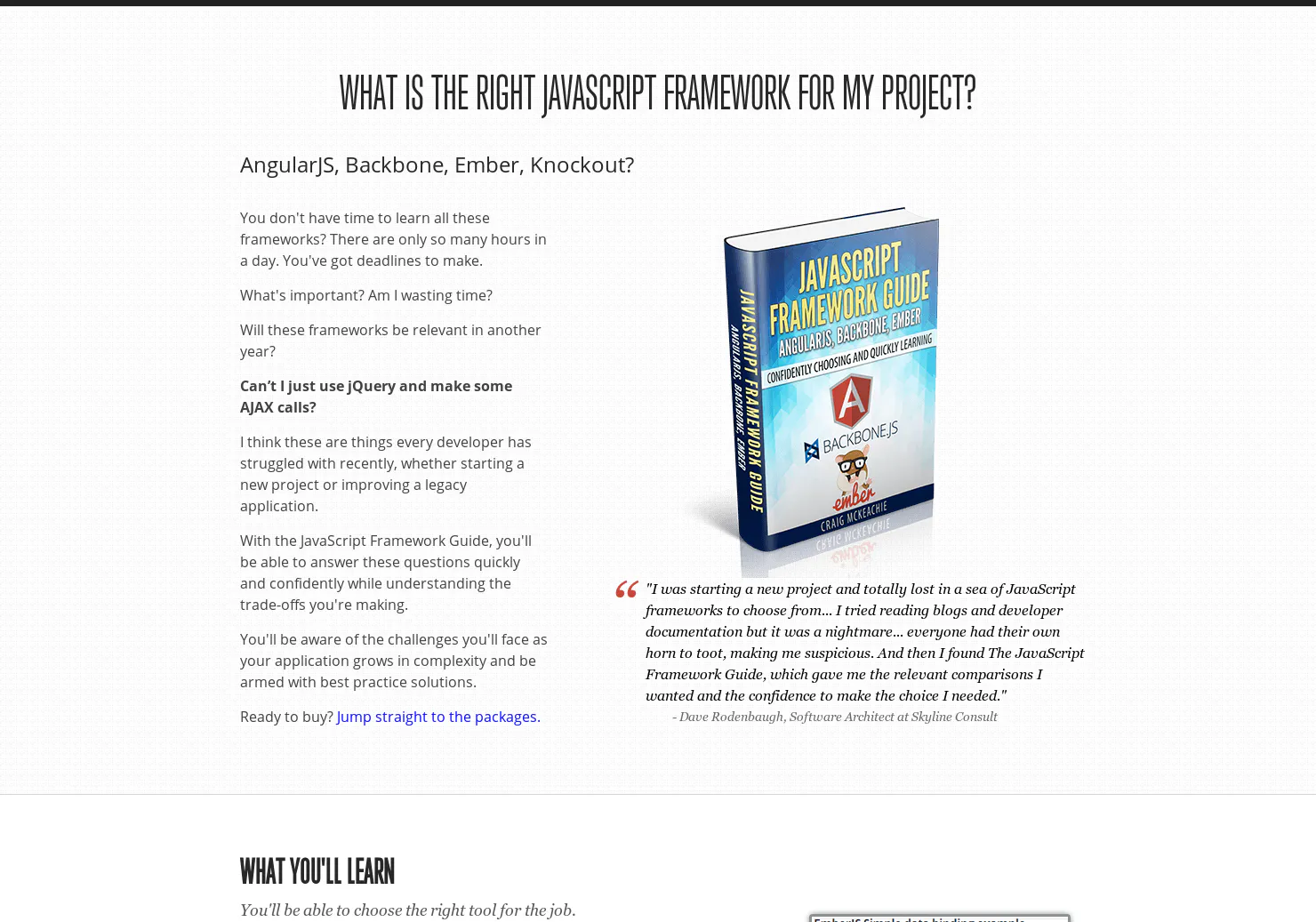 JavaScriptFrameworkGuide