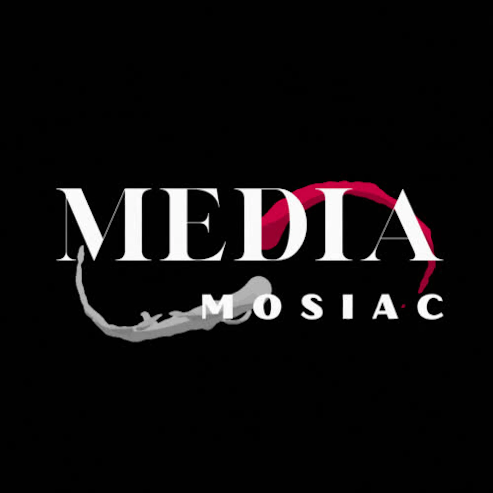 Media Mosiac screenshot 1