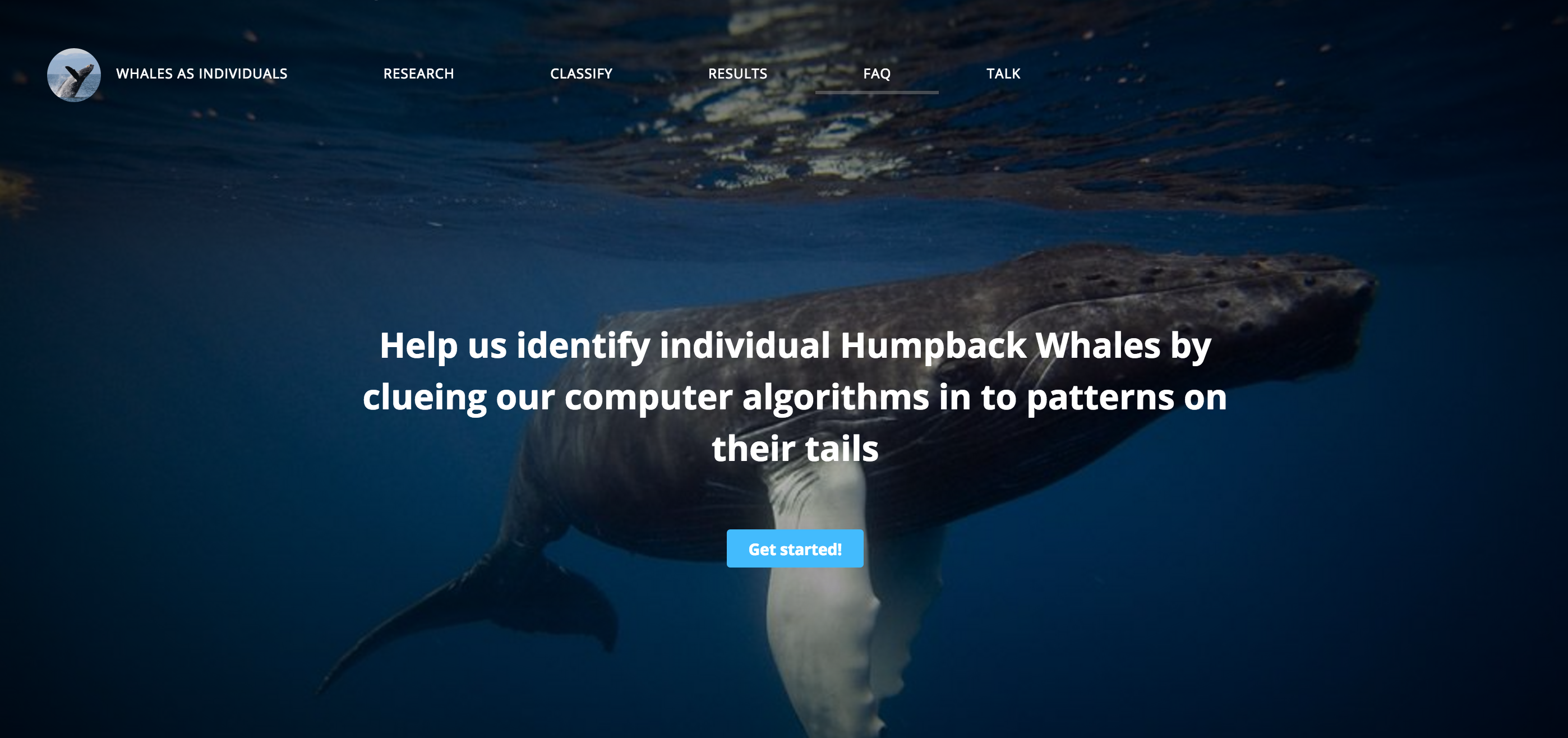 Whales as Individuals