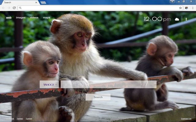 Monkey Wallpapers Chrome Extension
