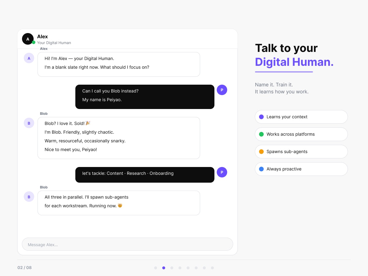 MrChief gallery image