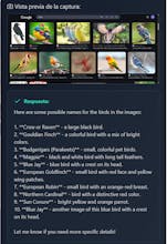 GPTExtension gallery image