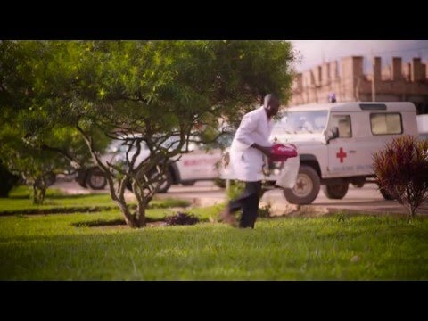 Zipline gallery image