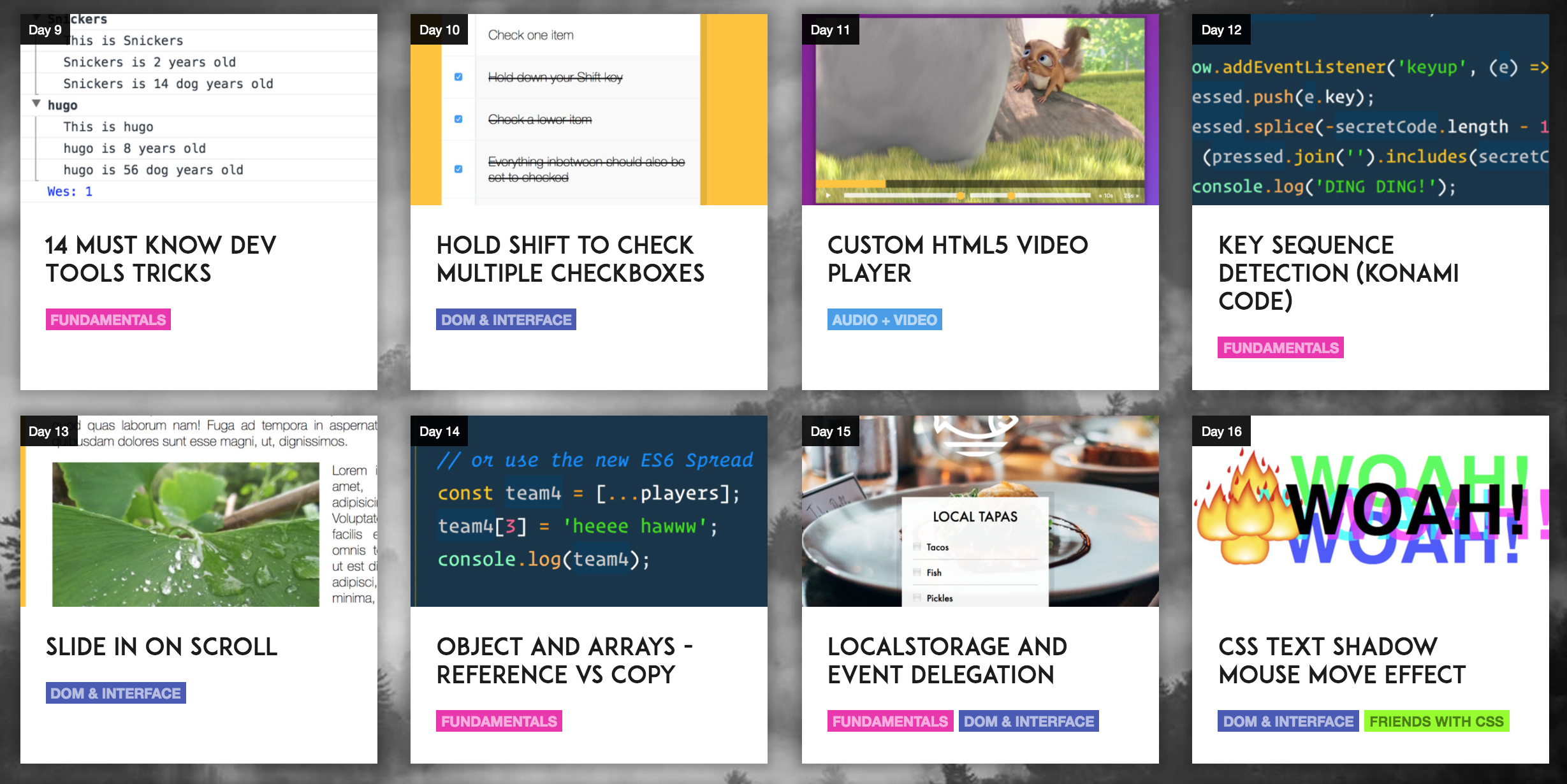 Javascript30 gallery image
