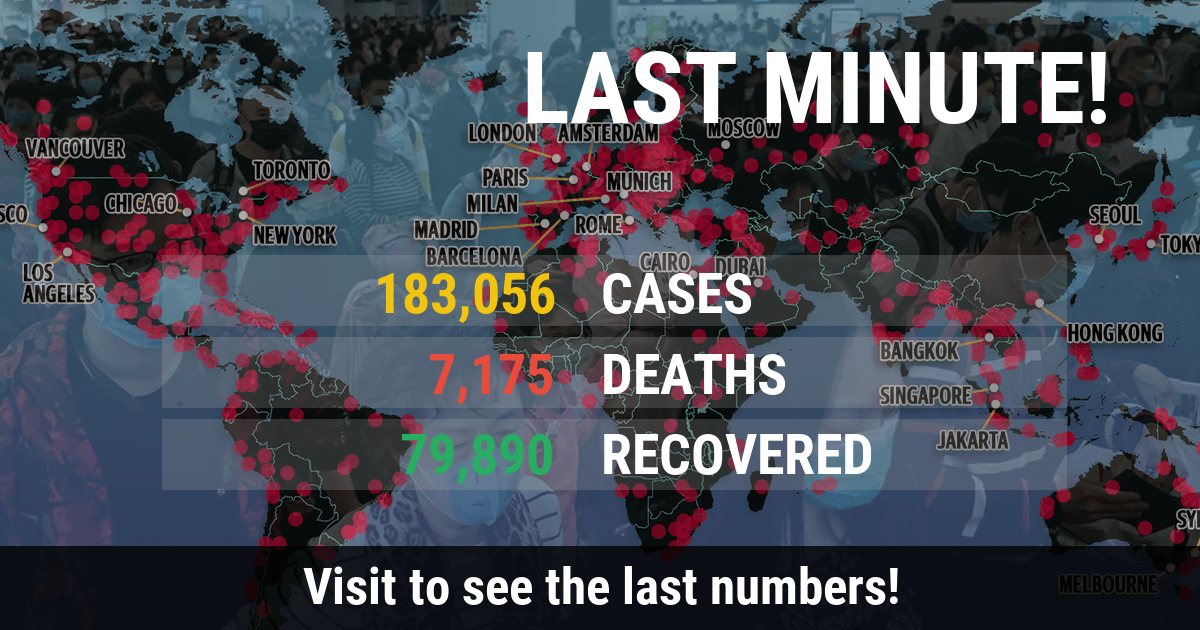 Covid19 Update Numbers Every Day gallery image