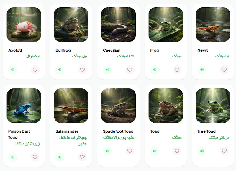Polylingo screenshot 2