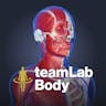 3D anatomy by teamLabBody