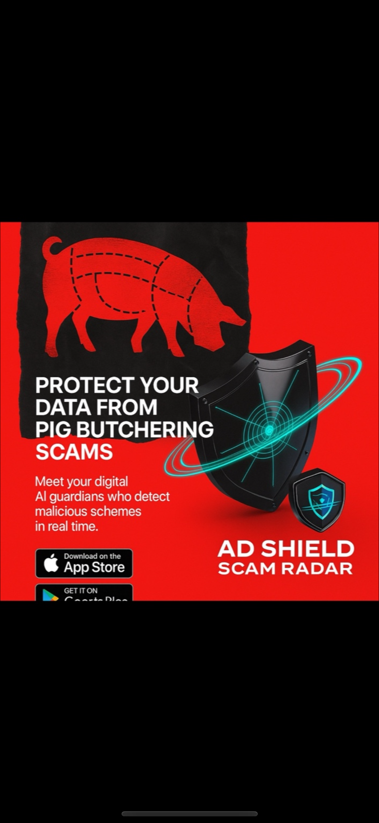 adshieldradar.com - Screenshot 5 showing product features and functionality