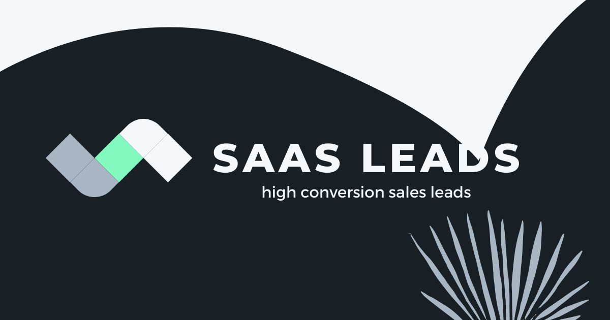 SAAS Leads gallery image