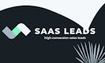 SAAS Leads image