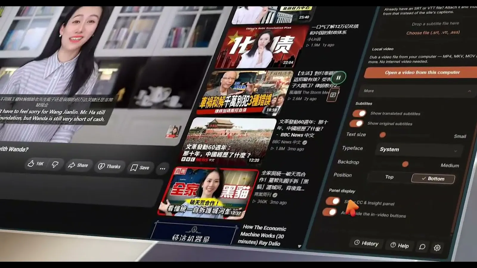 VidDub screenshot 1 (video preview)