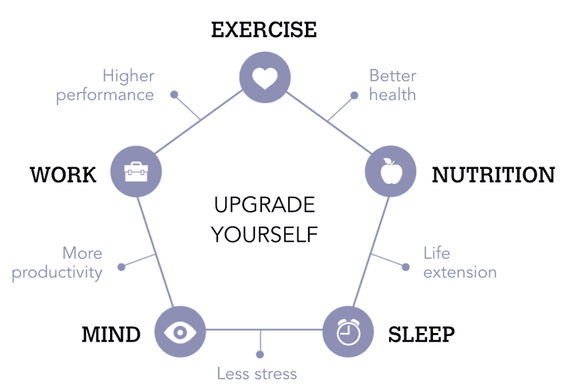 Biohacker’s Handbook - Sleep gallery image