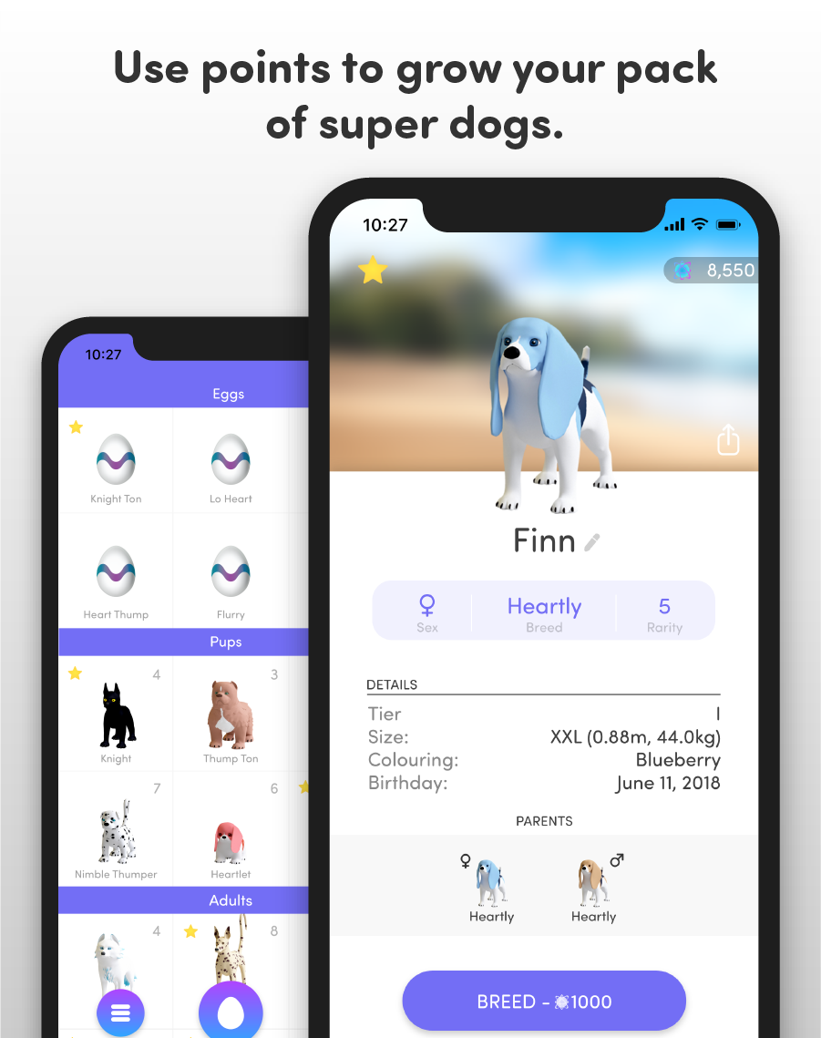 Lightdogs gallery image