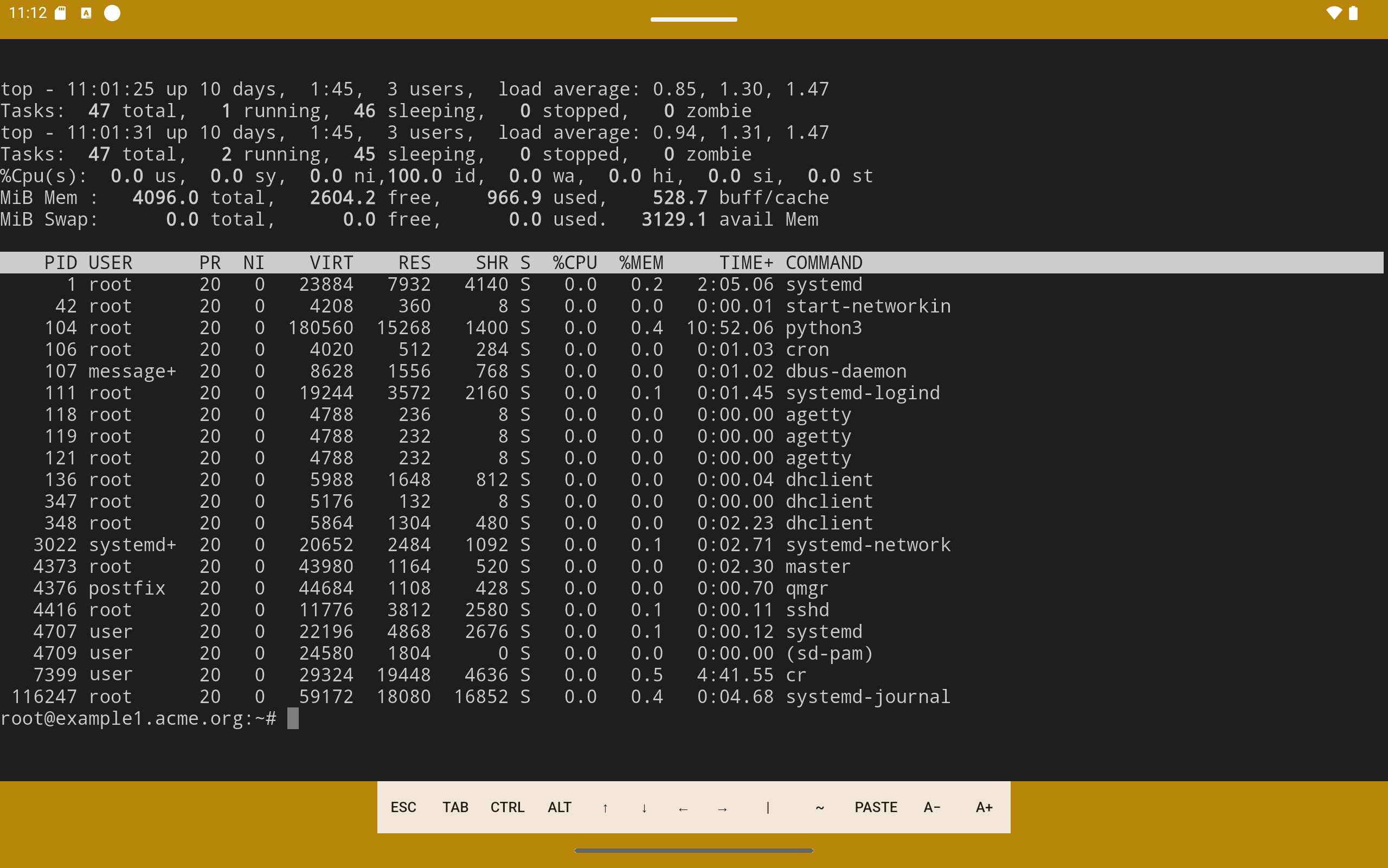 YuzuSSH - mobile SSH & Terminal gallery image