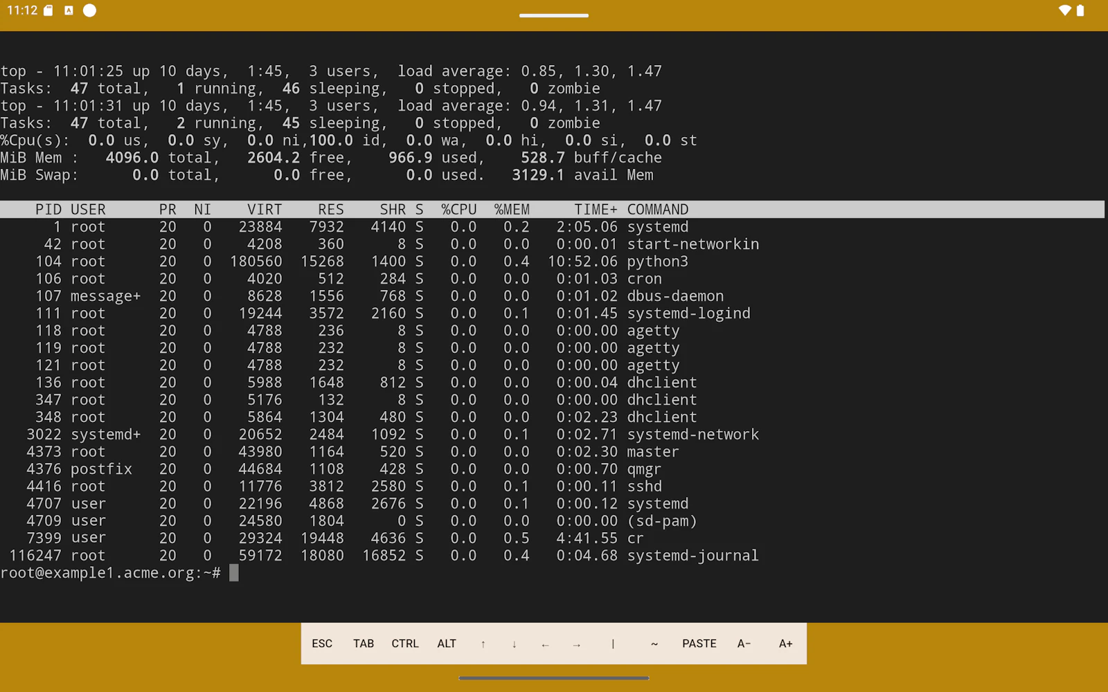 YuzuSSH - mobile SSH & Terminal screenshot 3