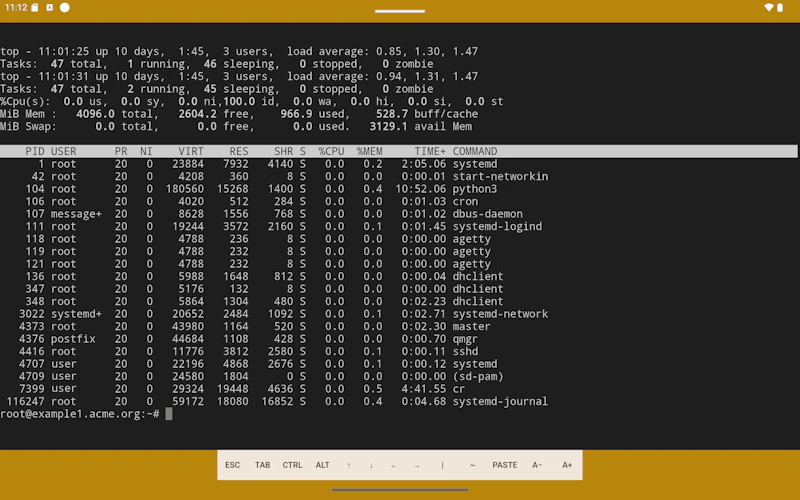 YuzuSSH - mobile SSH & Terminal screenshot 3