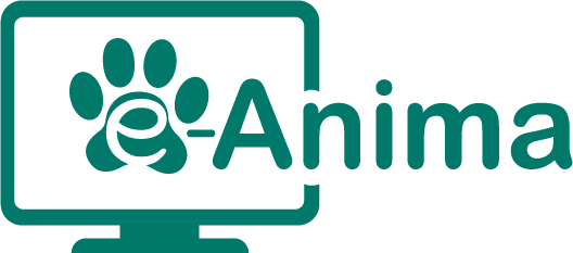 e-Anima Launch