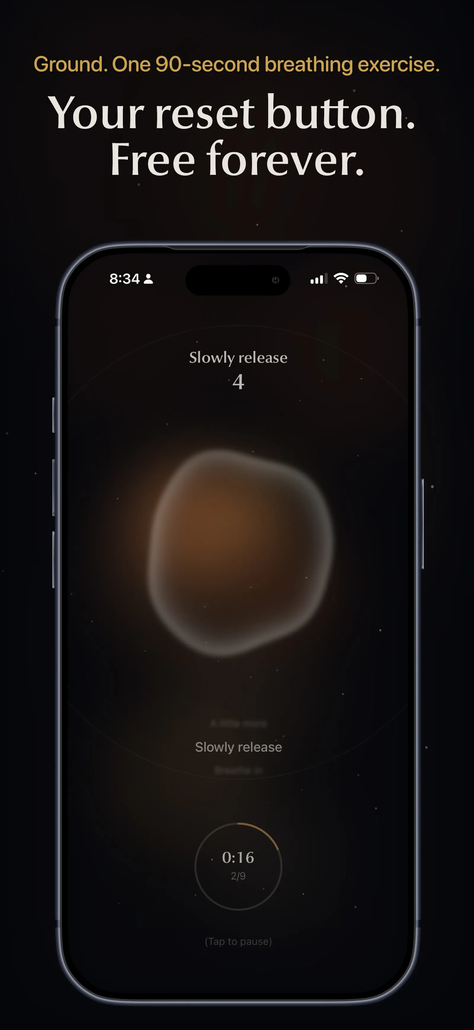 Settl screenshot 3