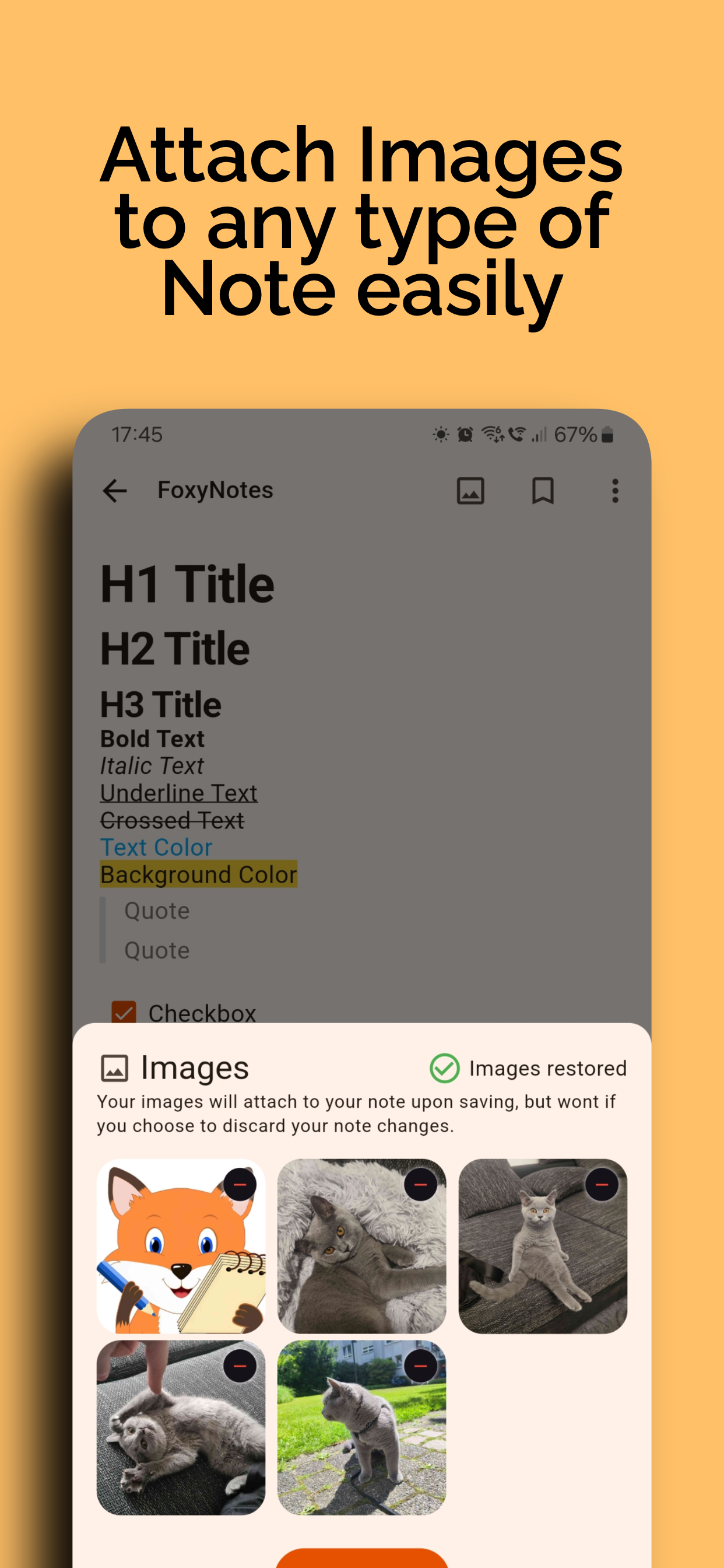 FoxyNotes gallery image