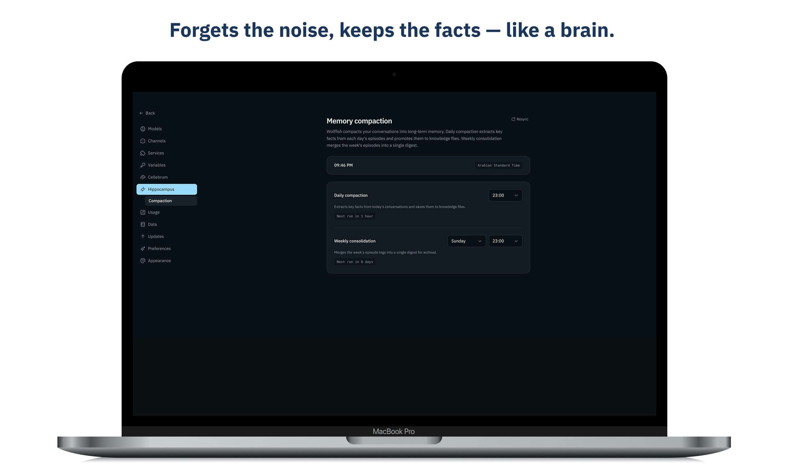 Wolffish: Personal AI Agent For Everyone gallery image