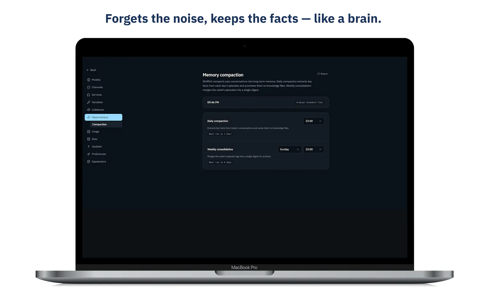Wolffish: Personal AI Agent For Everyone screenshot 8