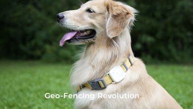 LaView gallery image