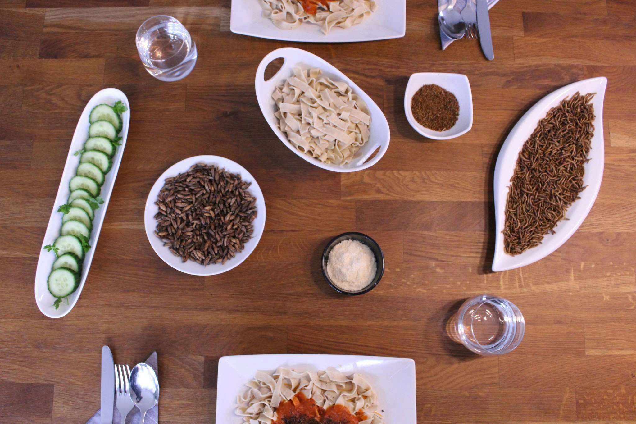 Catch-your-bug gallery image