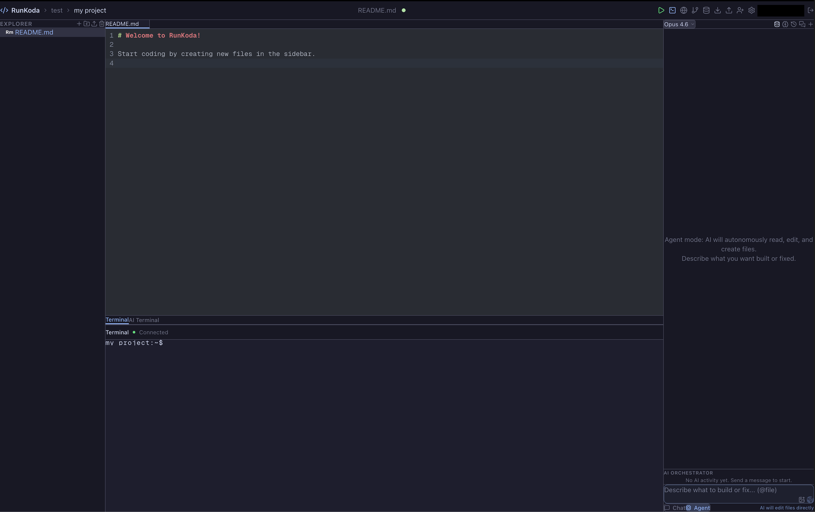 RunKoda gallery image