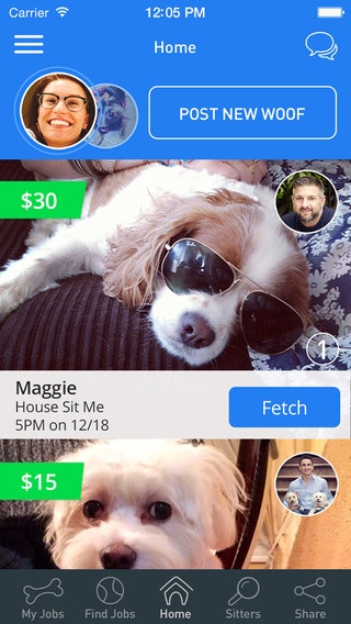 DoggyBnB gallery image