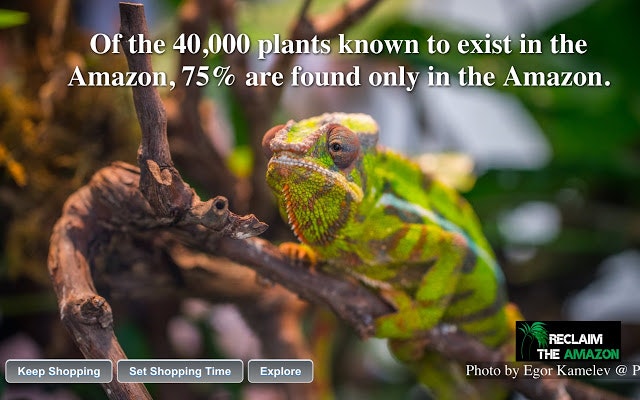 Reclaim the Amazon: Chrome Extension gallery image