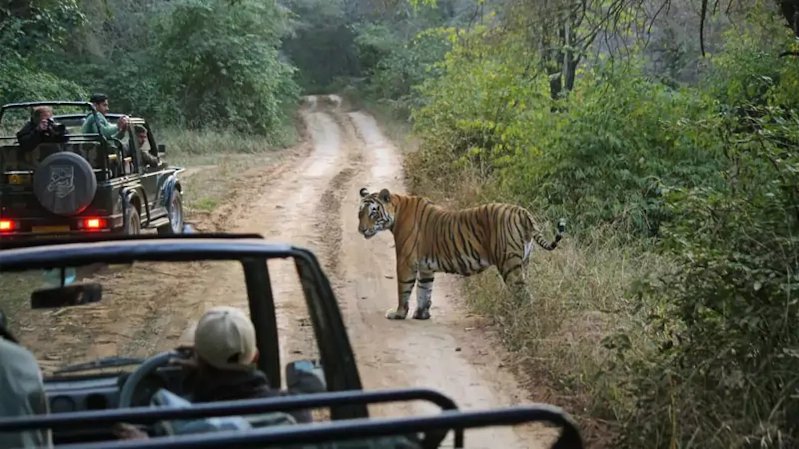 Cultural Safari Tours screenshot 9