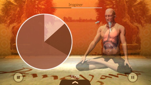 Pranayama gallery image