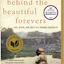 Behind the Beautiful Forevers