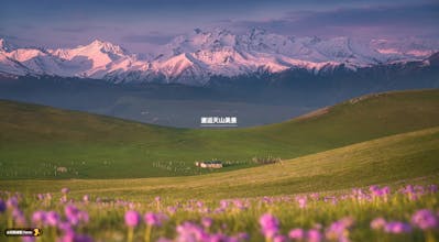 mepai tab gallery image