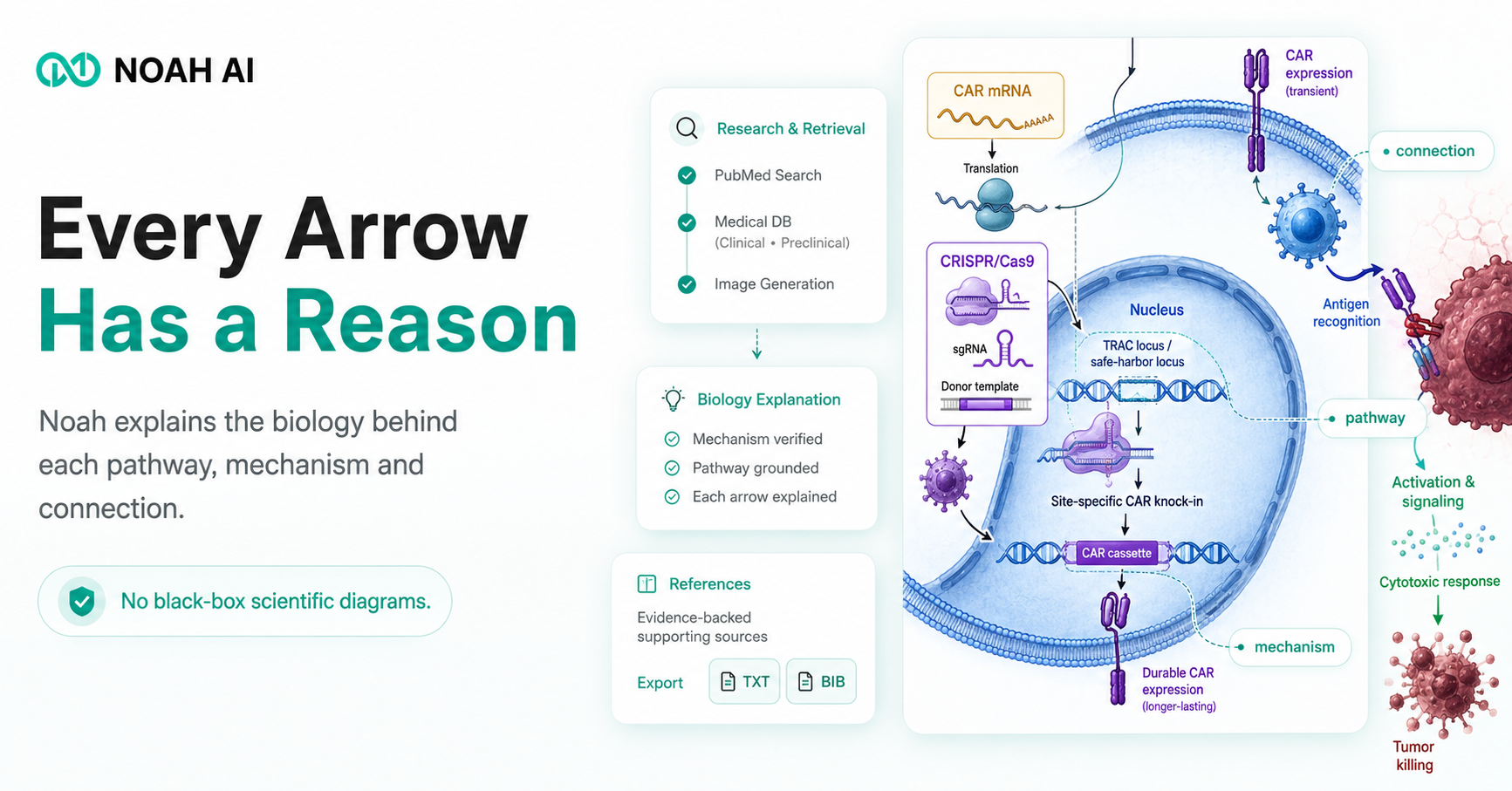 Deep Research AI for Life Science gallery image