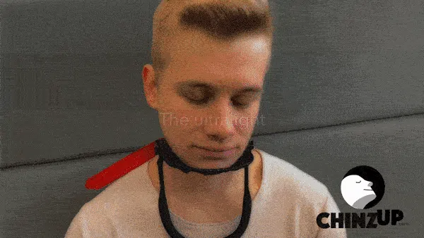 ChinzUp Travel Pillow