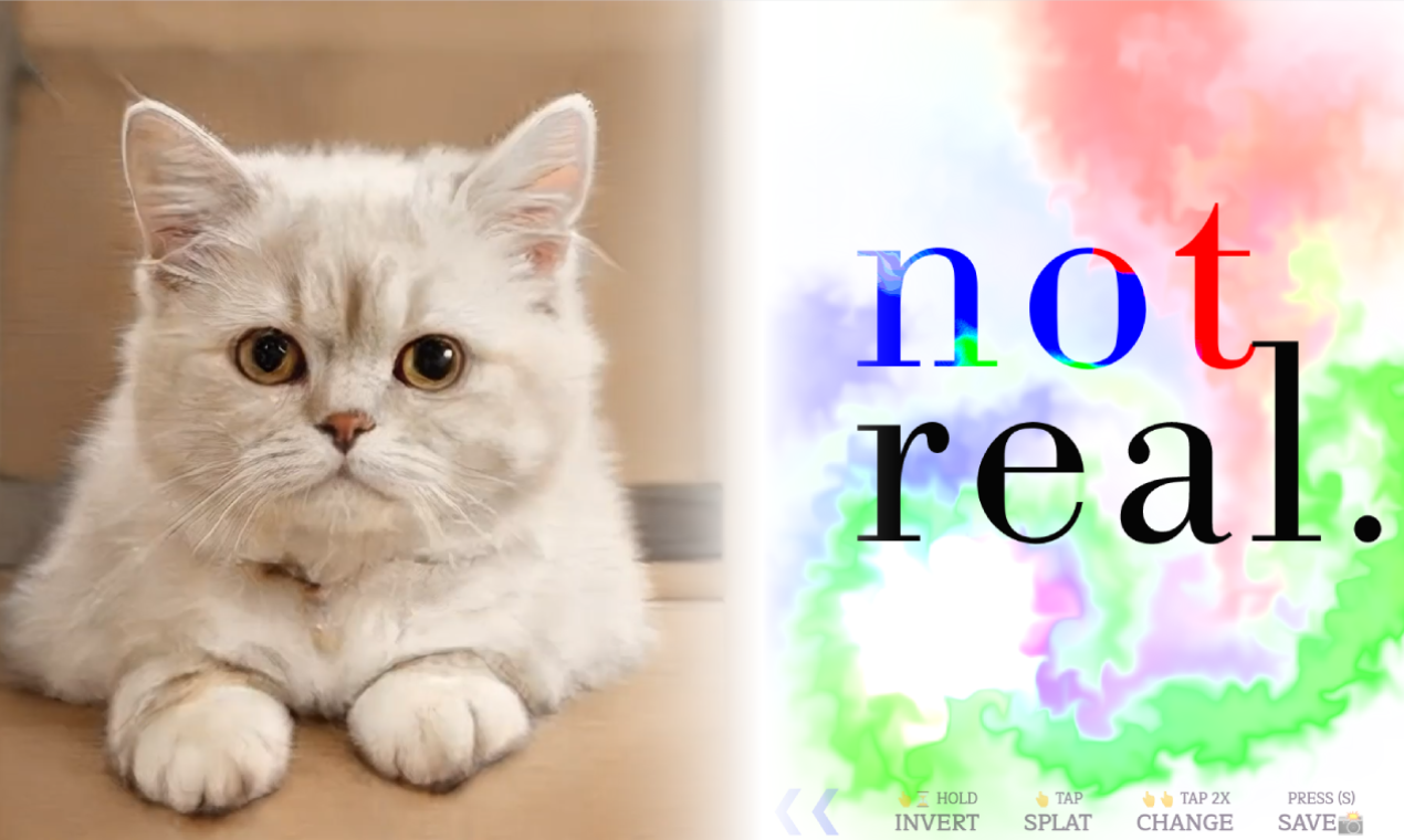 Not Real Cats gallery image