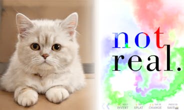 Not Real Cats gallery image