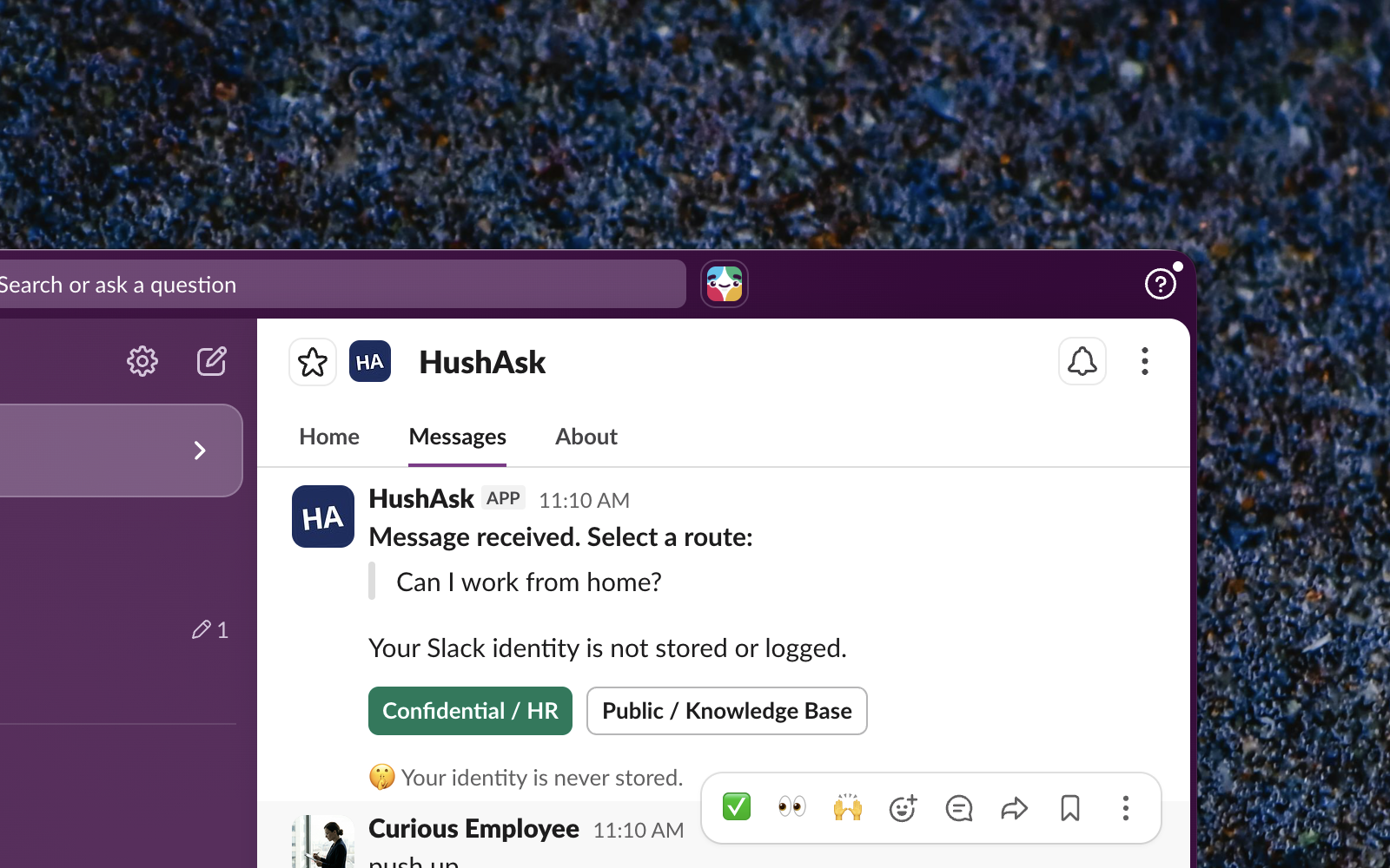 HushAsk gallery image