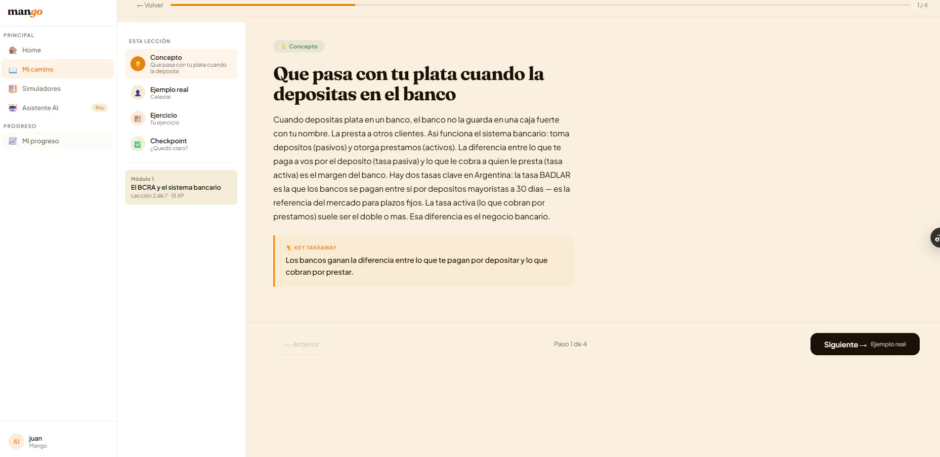 Mango — Tu plata, en serio. gallery image