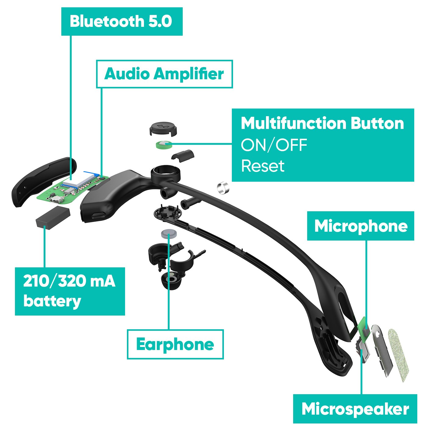 TRAGL, Live Translator gallery image