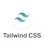 Tailwind CSS v2.0