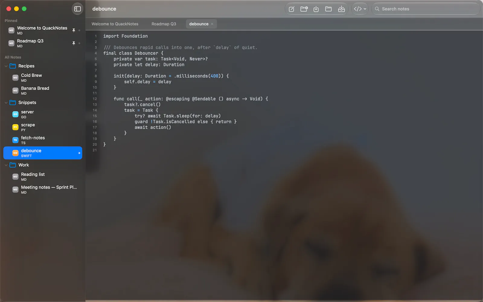 QuackNotes screenshot 16