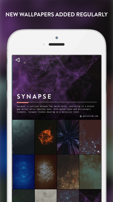 Vellum gallery image