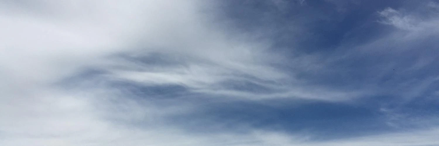 Srikar Dhanakoti cover