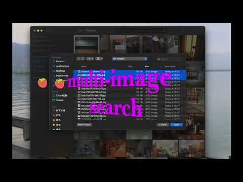 OwlLens gallery image