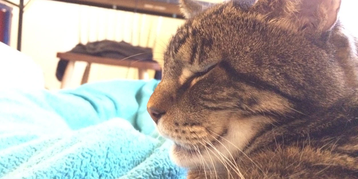 Kenny Ackerson cover