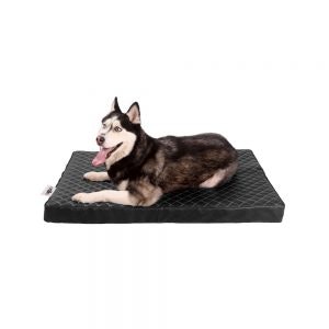 Pet Seating By Ariika gallery image