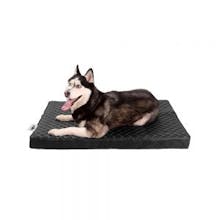 Pet Seating By Ariika gallery image